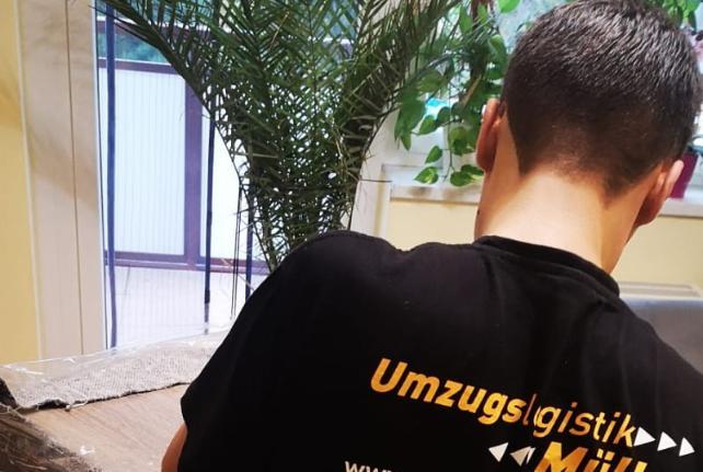 Behördenumzug Preise und Kosten Neschwitz